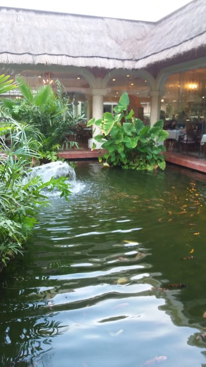 Gartenanlage Grand Palladium Kantenah Resort & Spa