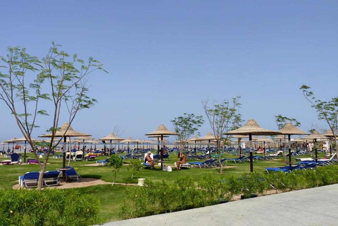 Widok na plażę JAZ Aquamarine Resort