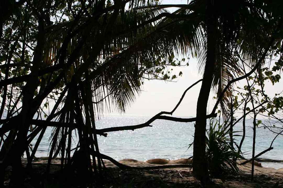 Ausblick vom Restaurant NH Collection Maldives Reethi Resort