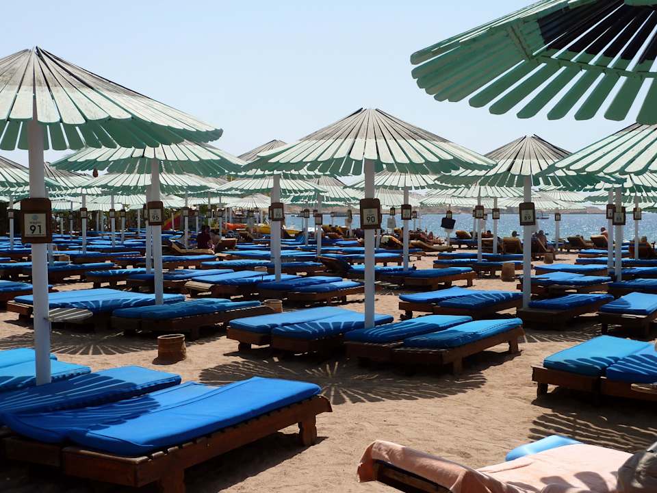 Fast leer Ghazala Gardens