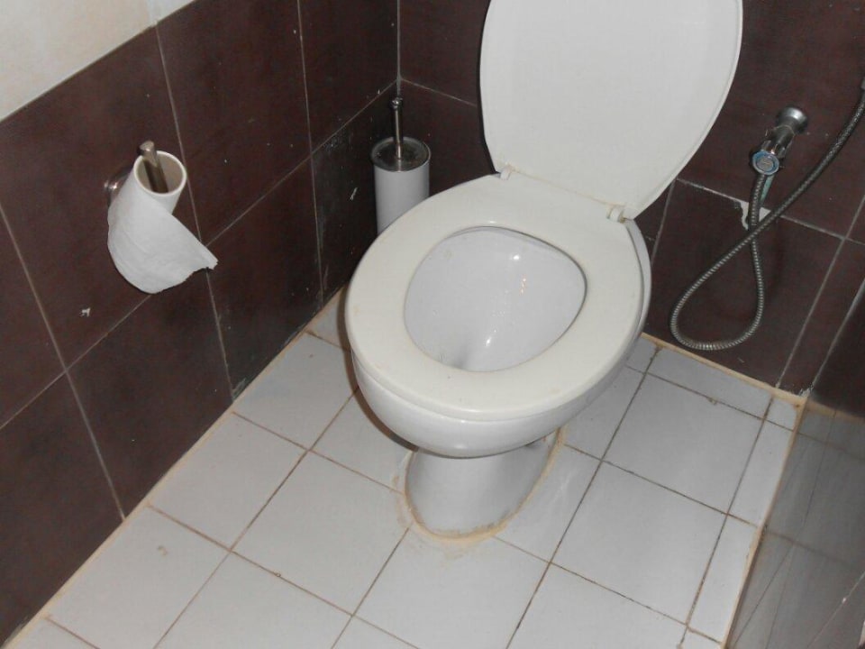 Immer dreckig Riadh Palms Resort & Spa