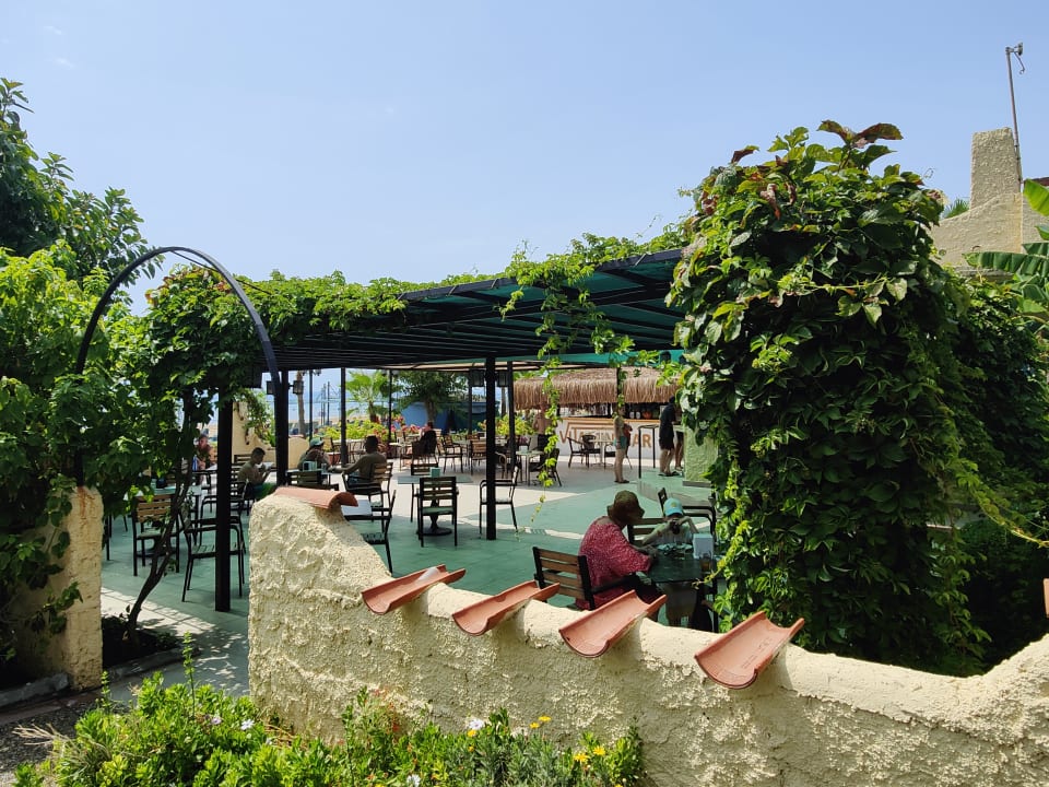 Gartenanlage Iz Flower Side Beach Hotel