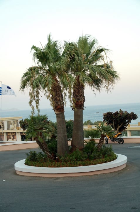 Vor dem Hotel Mitsis Rodos Village