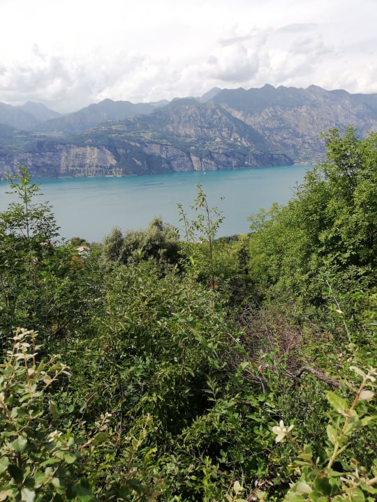 Ausblick Hotel Querceto Wellness & Spa - Garda Lake Collection