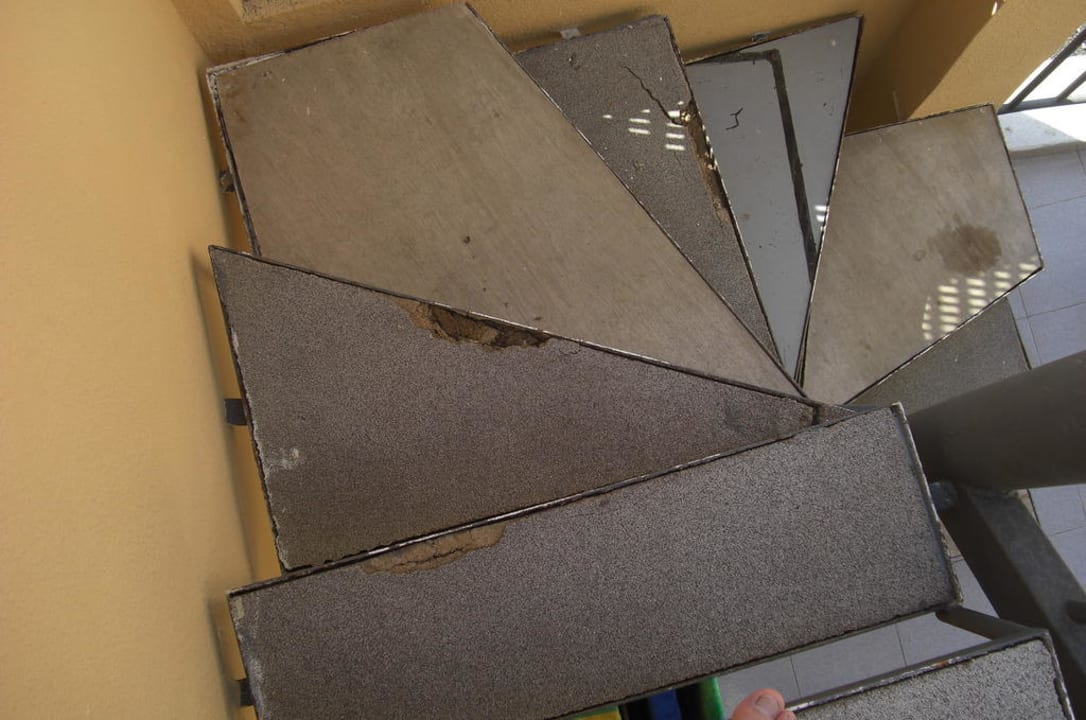 Dachterrasse Los Olivos Beach Resort