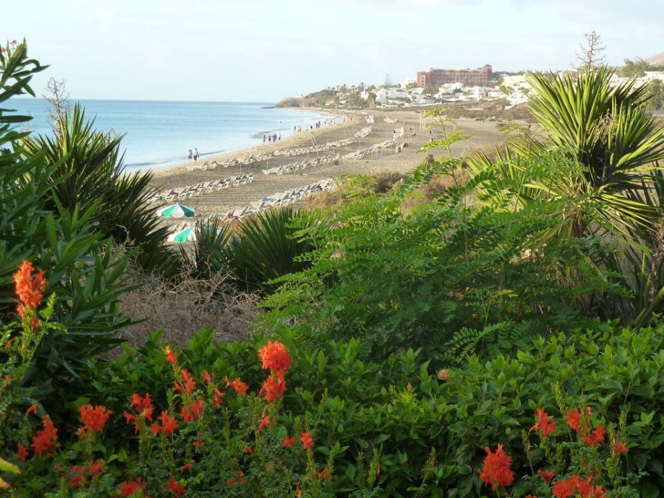 Blick zum Strand von unserer Terrasse SBH Hotel Taro Beach