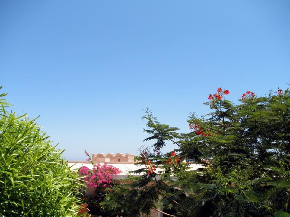 Райские сады Цитадели Pickalbatros Citadel Resort