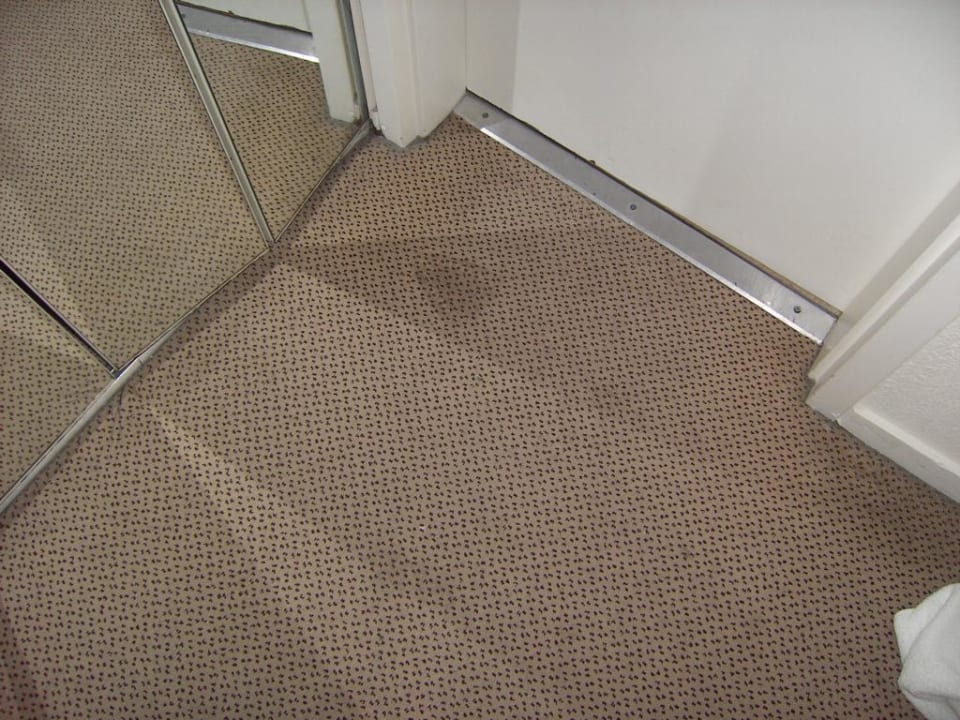 Verschmutzter Teppich Hotel Hilton Garden Inn Los Angeles Marina Del Rey