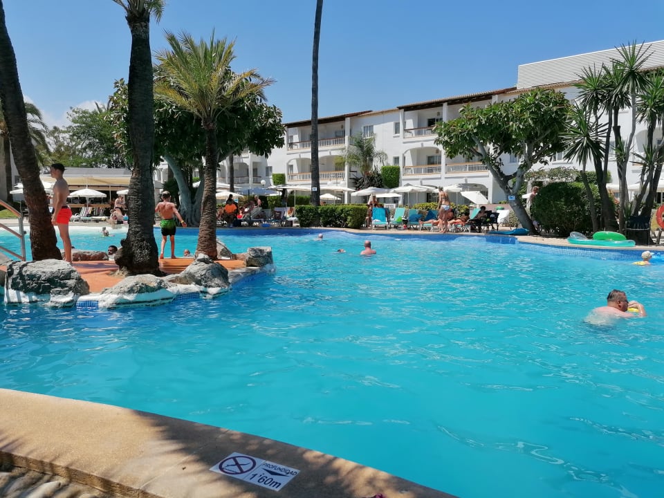 Pool Alcudia Garden Aparthotel