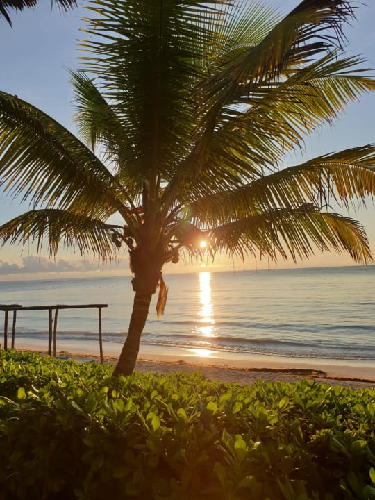 Strand Akumal Bay Beach & Wellness Resort