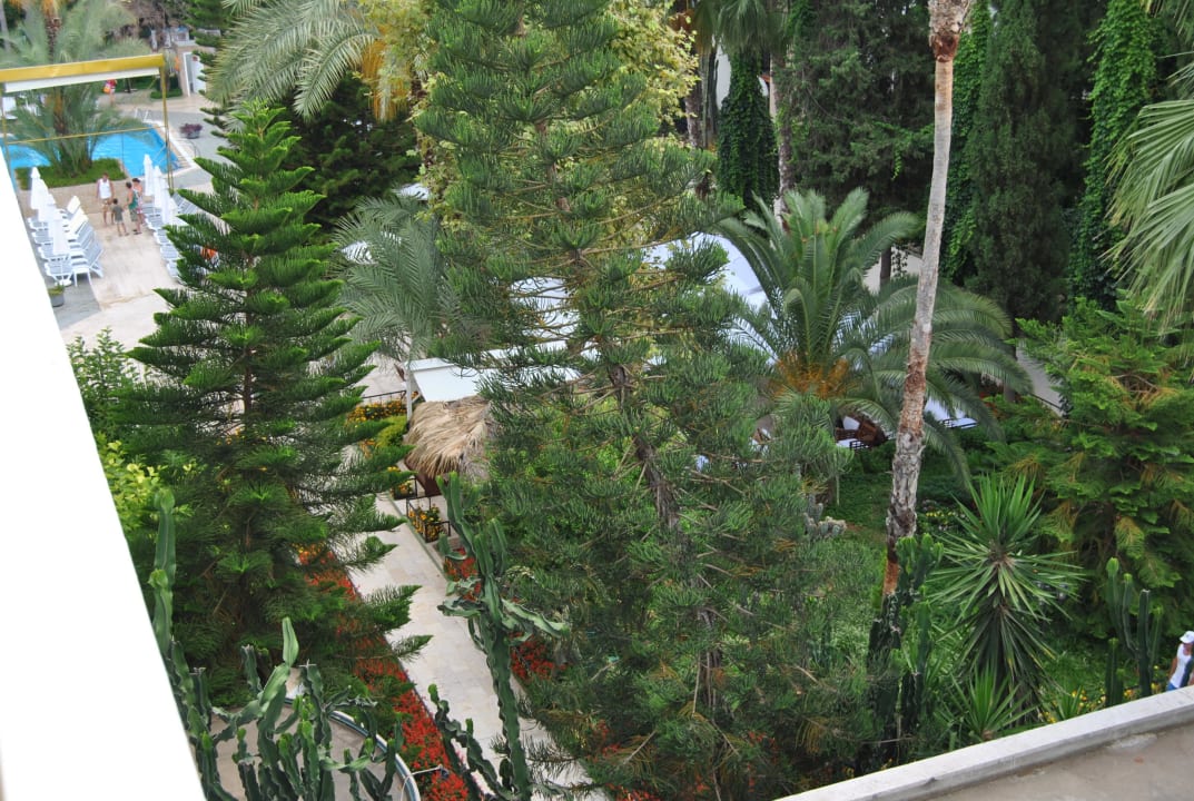 Ausblick 4.Etage aus unserem Zimmer Botanik Hotel & Resort