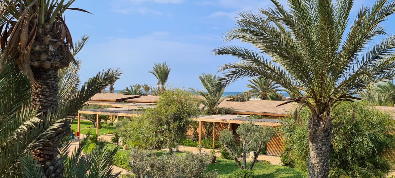 Ausblick Iberostar Waves Mehari Djerba