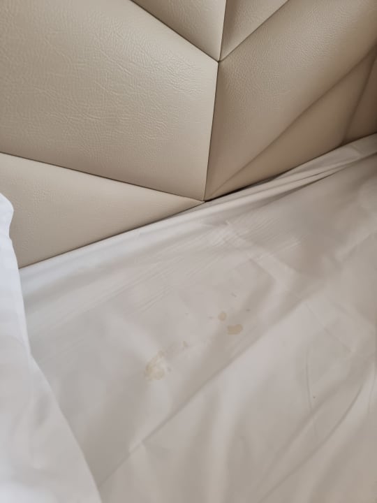 Zimmer İmperial Turkiz Resort Hotel