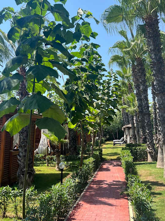 Gartenanlage Hotel Delphin Diva