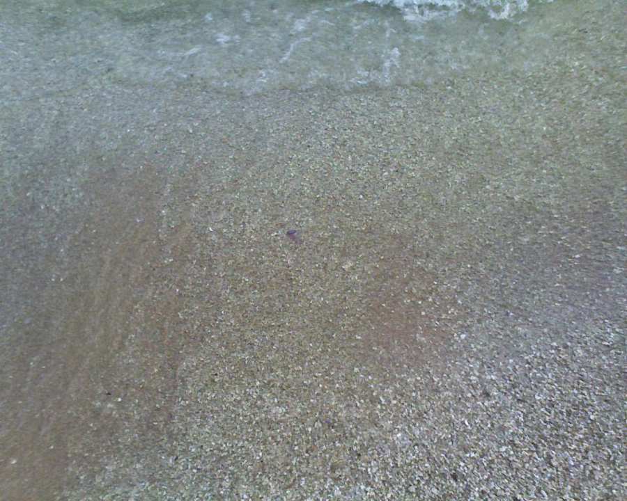 Medusa Sultan Gardens Resort