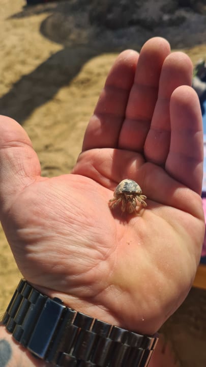 Sonstiges Pickalbatros Villaggio Resort - Portofino