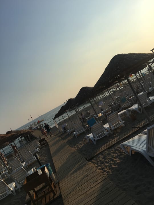 Strand Dizalya Palm Garden