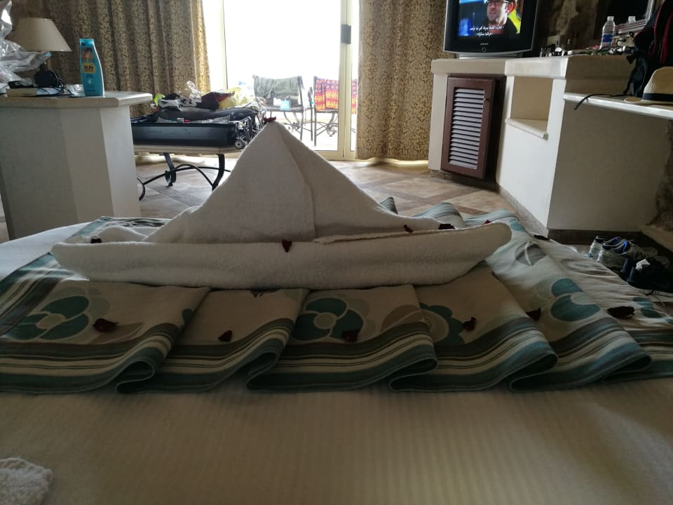 Zimmer Pickalbatros Citadel Resort