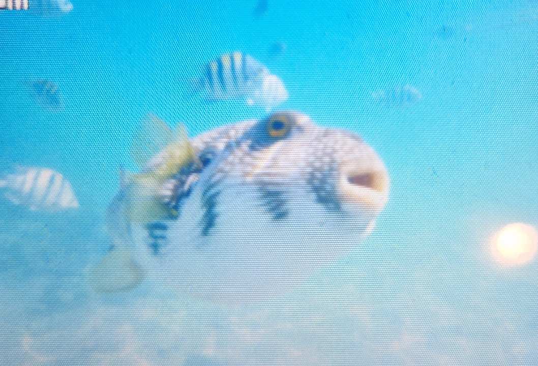 Strand Grand Waterworld Makadi & Family Star Makadi