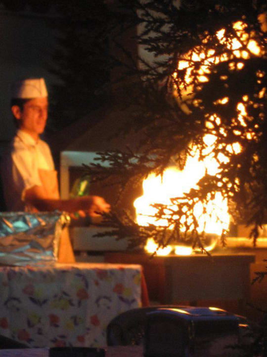 Restaurant Hotel Orfeus Park