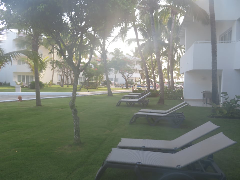 Garten Occidental Punta Cana