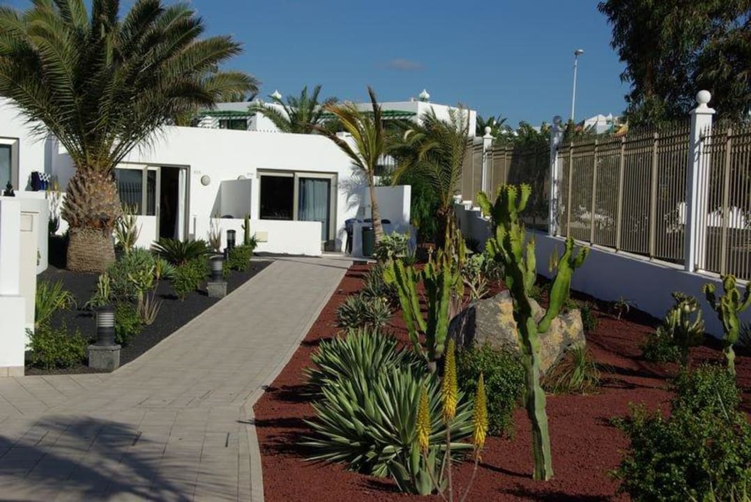 Sehr gepflegte Gartenanlage mit Kakteen und Palmen Hotel Las Costas