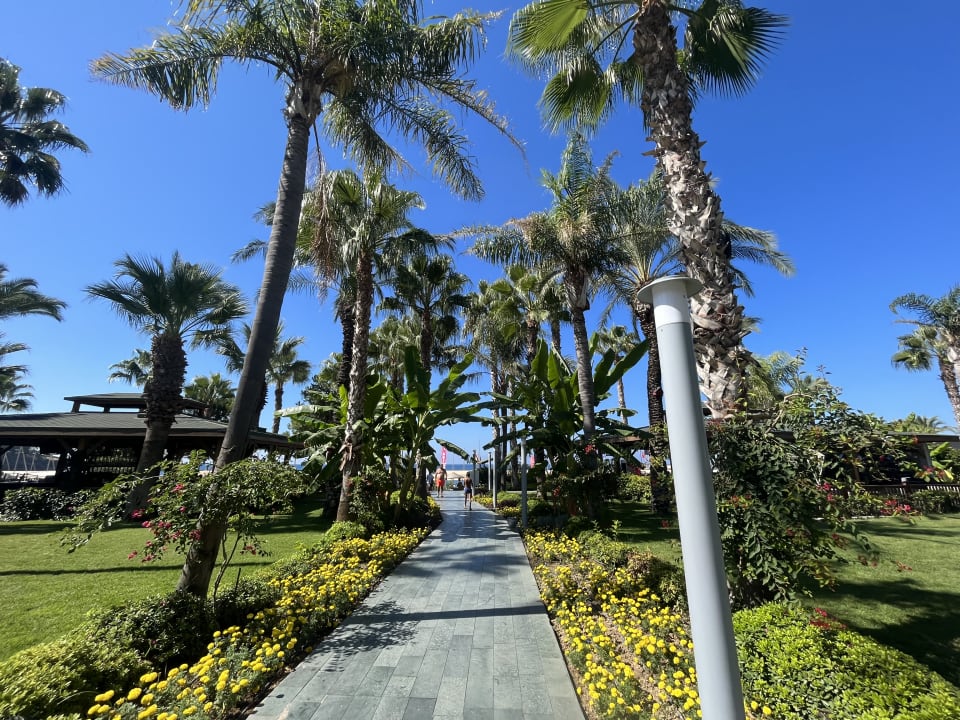 Gartenanlage Arycanda Kirman Premium