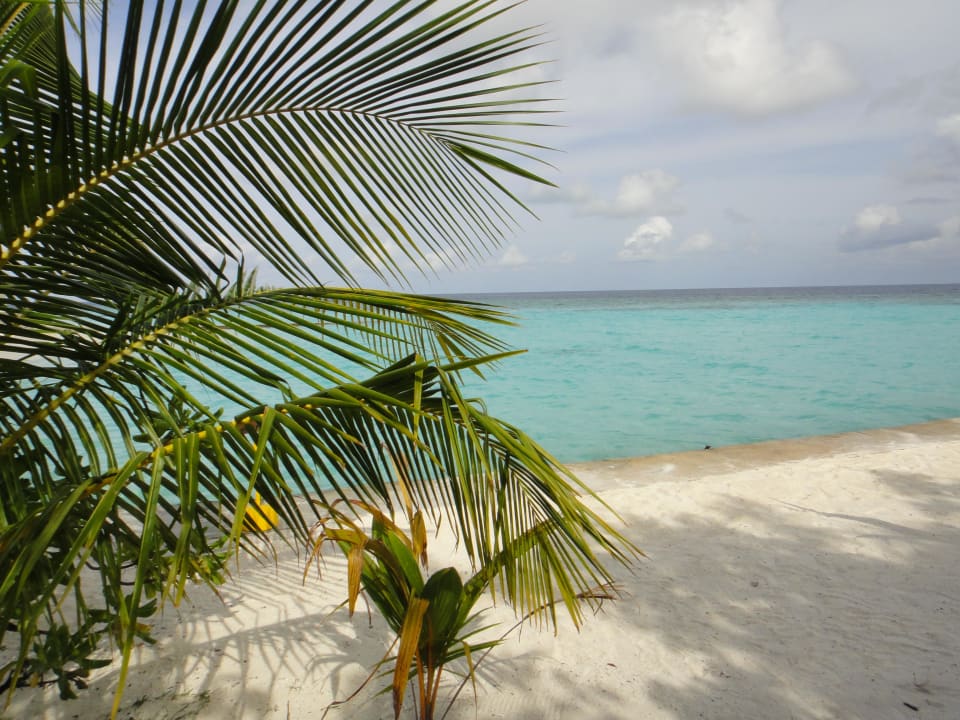 Strand im Süden Adaaran Select Meedhupparu Island Resort - Premium All Inclusive