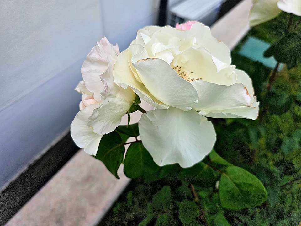 Gartenanlage Hotel Corte Pontigliardo