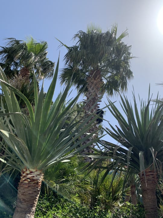 Gartenanlage The Land of Legends Kingdom Hotel