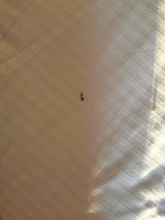 Zimmer Royal Star Beach Resort