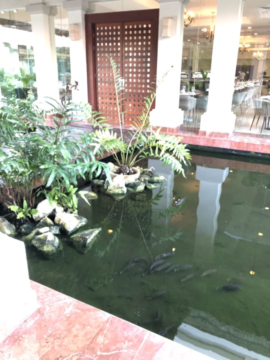 Sonstiges Grand Palladium Kantenah Resort & Spa