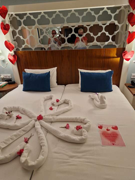 Zimmer Seashell Vega