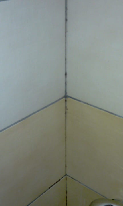 Schimmel an den Fliesen des Bades Prestige Alanya