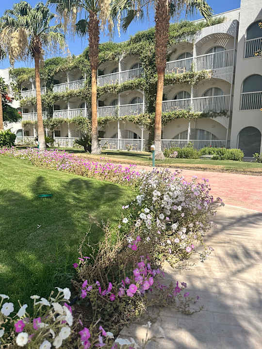 Außenansicht Desert Rose