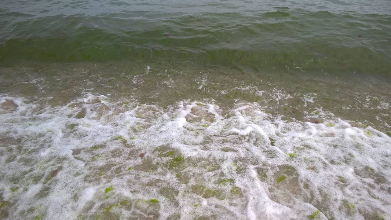 Vor dem Wasser geht es 1 Meter nach unten dann im  GRIFID Encanto Beach