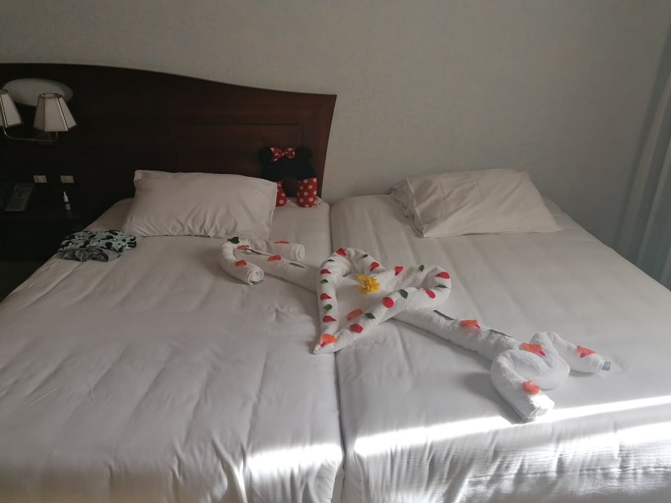 Zimmer Stella Garden Resort & Spa, Makadi Bay