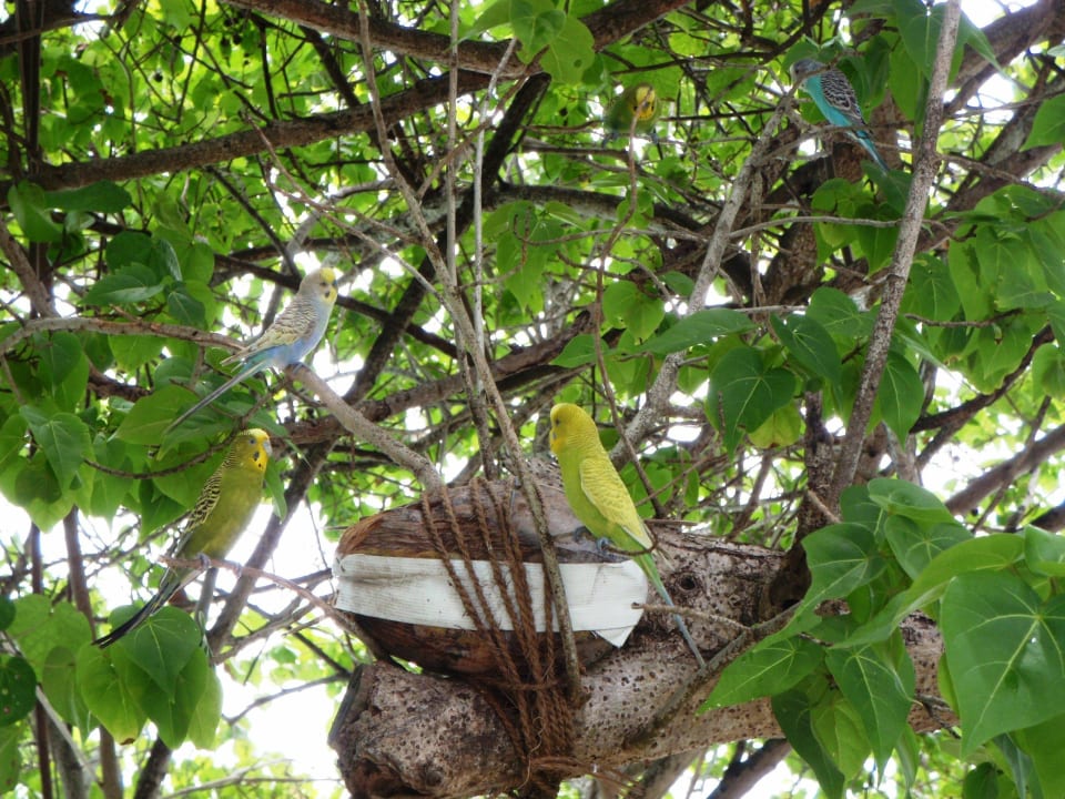 Thulagiri Thulhagiri Island Resort