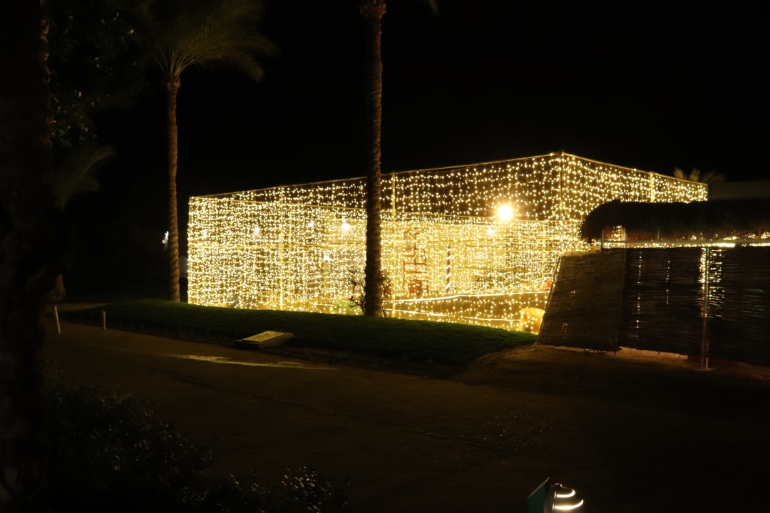 Sport & Freizeit Desert Rose