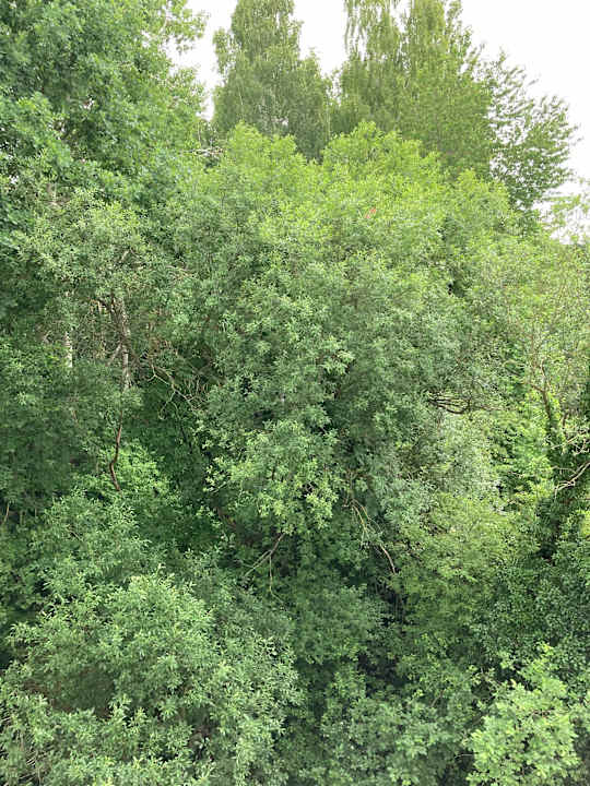 Außenansicht Best Western Plaza Hotel Zwickau