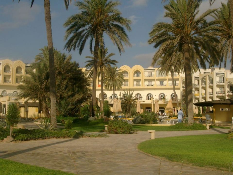 Hotel Hotel Eden Star