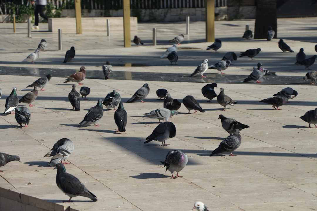 Sonstiges Hotel Kloest