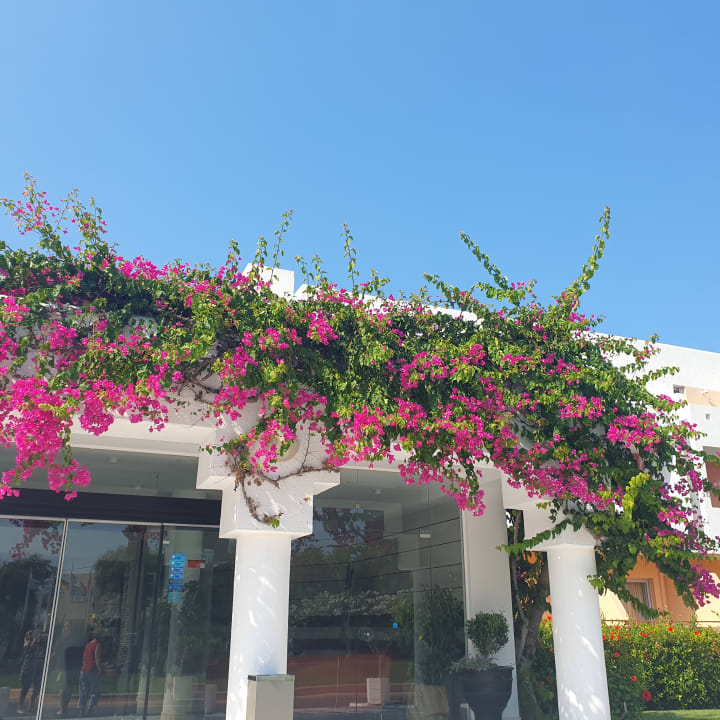 Sonstiges Anissa Beach & Village