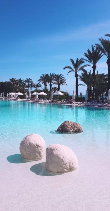 Pool PALOMA Perissia