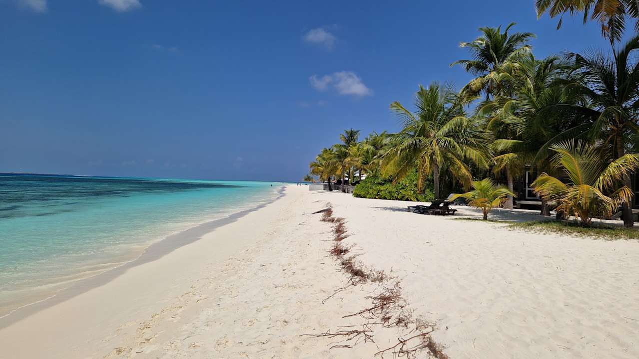 Zimmer Kuredu Island Resort & Spa