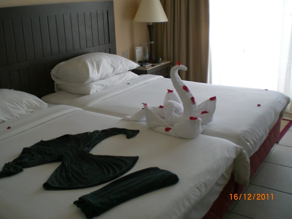 Bett mal anders guter Service TUI MAGIC LIFE Kalawy