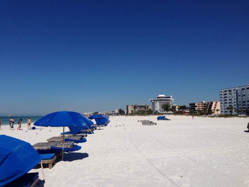 Der Strand Vor Dem Hotel Hotel Dolphin Beach Resort