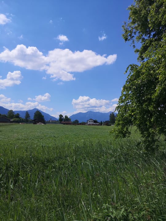 Gartenanlage Stroblhof