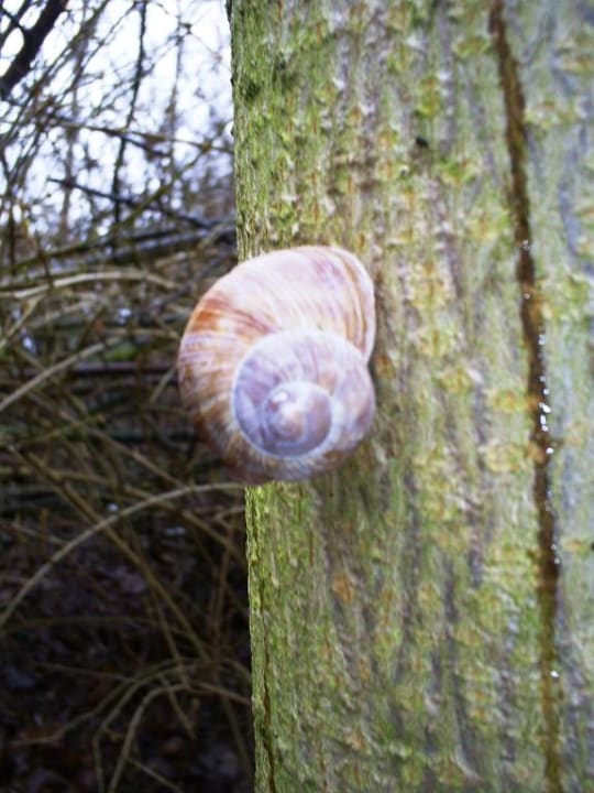 Ein Sinnbild der Ruhe im Schloßpark Schloßhotel Schkopau