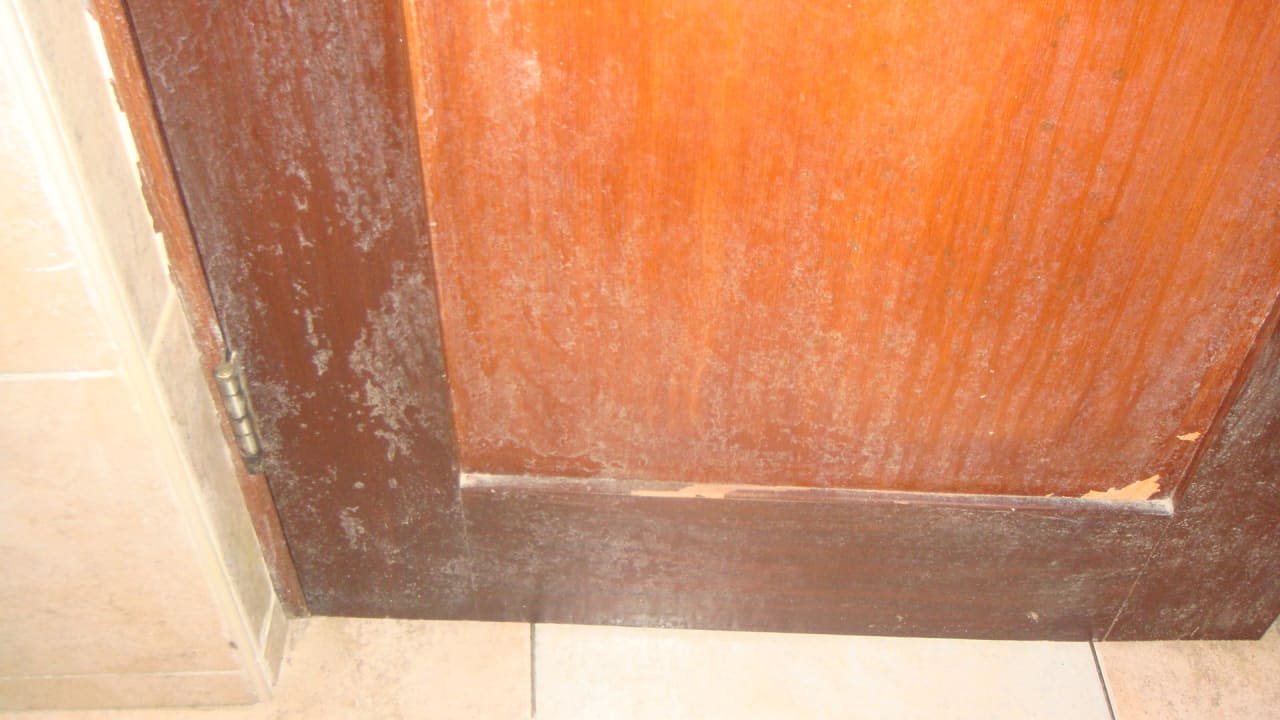 Schimmel an der Badezimmertür Punta Cana Princess All Suites Resort & Spa